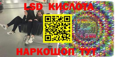 прущие грибы Пенза
