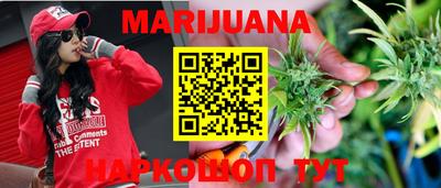 прущие грибы Пенза
